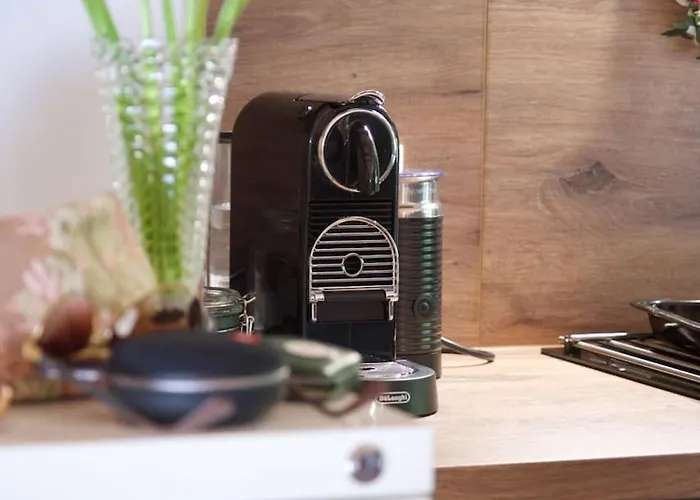 Tinyhouse Fuer Gesundheitsbewusste Apartment